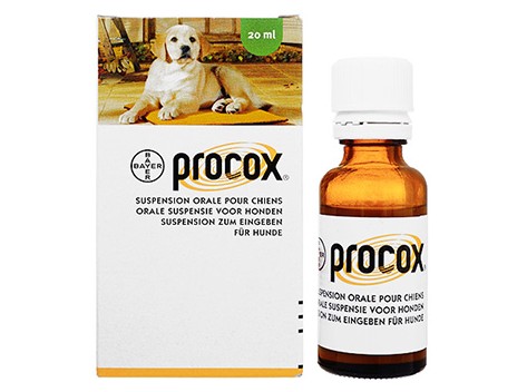 プロコックス犬用経口薬