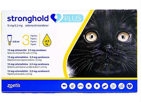 ストロングホールドプラス子猫用（2.5kg未満）