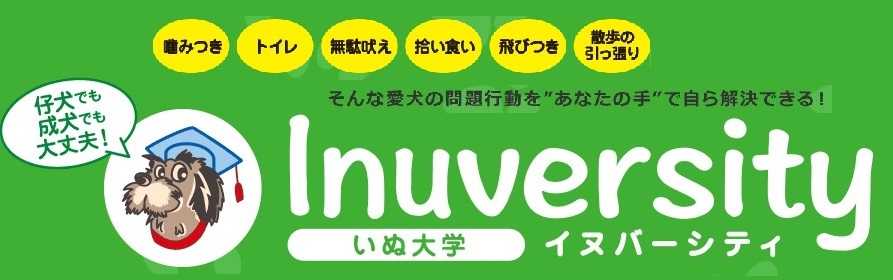 子犬 やんちゃ しつけ