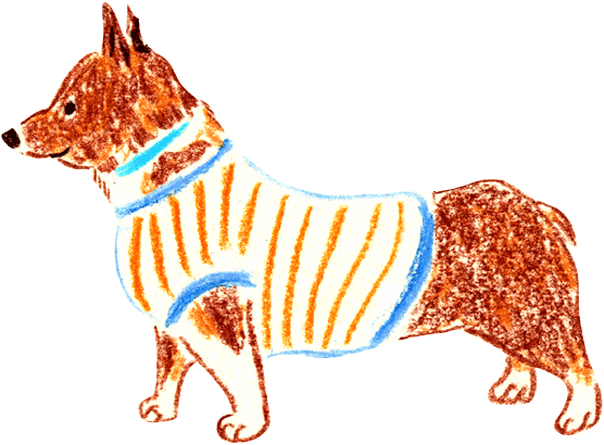 コーギー 噛み 激しい