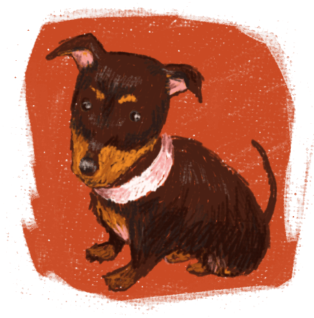 ダックス 攻撃的 噛む